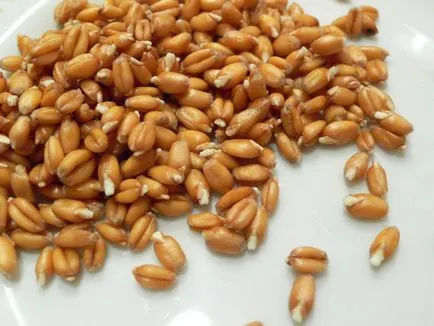 Покълнали пшеница третира цялото тяло!