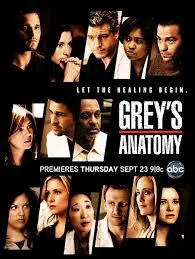 Grey Anatomy „Season 6 Series leírás