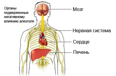 Делириум тременс, бялата треска