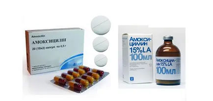 Amoxicilina în sinusul