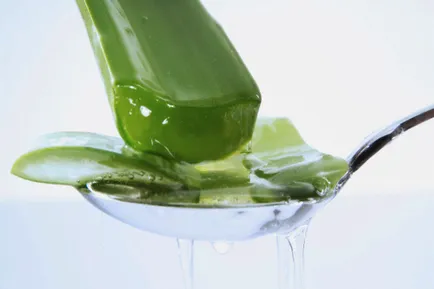 Aloe bronchitis, köhögés kezelésére gyógyszereket mézes receptek