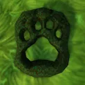 animale de companie rare pentru vânători în Pandaria ghiduri World of Warcraft