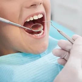 Fejlesztése lombhullató és maradandó fogak csoportok összetétele a mikroflóra a száj és a fogak függvény