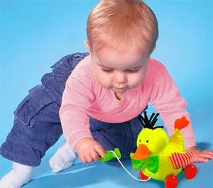 Fejlesztése a gyermek 6 hónapos és hasznos játékok