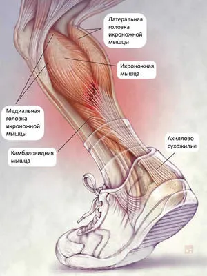 Recomandări pentru utilizarea de medicamente pentru entorse pe picior unguent