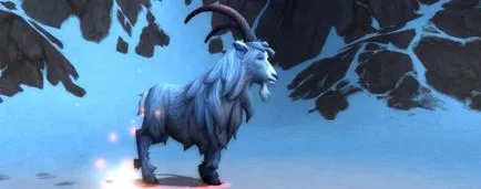 animale de companie rare pentru vânători în Pandaria ghiduri World of Warcraft