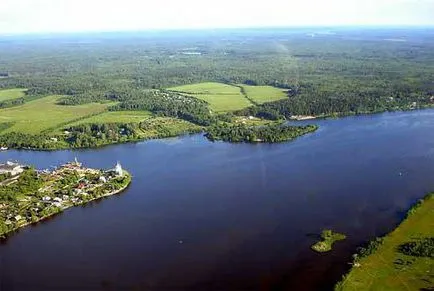 Volga folyó növények és állatok, leírás, ökológia,