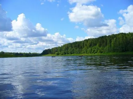 Volga folyó növények és állatok, leírás, ökológia,