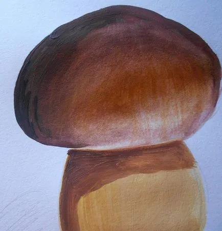 Boletus felhívni gouache szakaszaiban