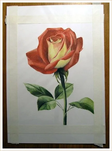 Draw rózsa pasztell ceruzák
