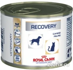 Royal Canin hasznosítás - konzerveket kutyáknak és macskáknak az anorexia helyreállítás, lipidosisa