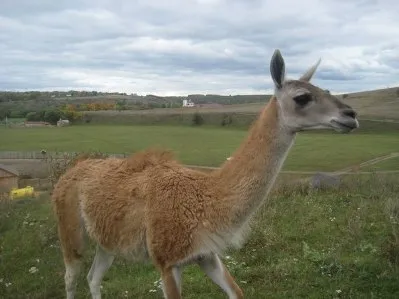 Safari - Parc Kudykin Munte - concediu cu copii