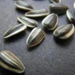 Семена от хипертония - лечение на сърдечна