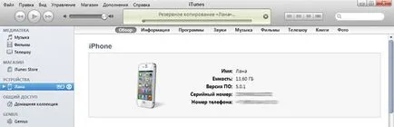 Синхронизация IPAD и iphone с качи