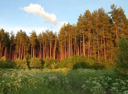 Приказка за това как ние изграждаме топъл дом