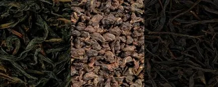 soiuri de Oolong, modul de selectare ceai oolong