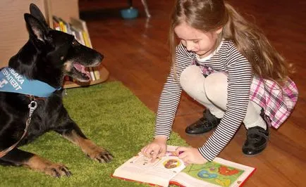 Dog ESTA, care a citit cartea terapeut cu patru picioare în biblioteca pentru copii