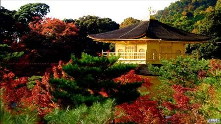 Japonia Arhitectura (yamadziro și hiradziro), Mikado miuki • Virtual Japonia