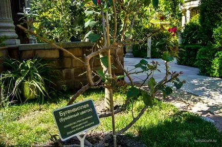 Régi park Kabardinka Kabardinka és a sétányra