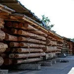 Uscarea lemnului în prepararea de origine a materialului de încredere