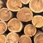 Uscarea lemnului în prepararea de origine a materialului de încredere