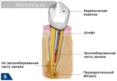 Fogászati ​​Klinika diplomata