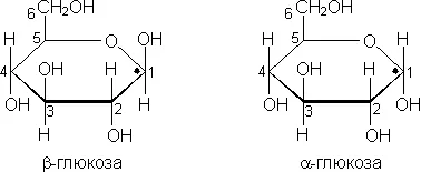 A szerkezet, példák és funkciói szénhidrátok