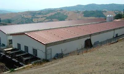 Construirea de iepure - agro Valmont