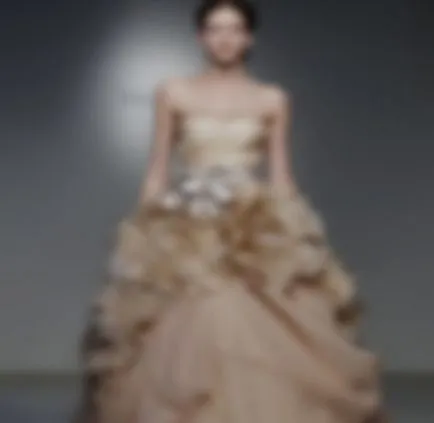 Esküvői ruhák Vera Wang (Vera Wang)