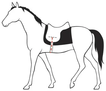 Муниции маса размери за коне