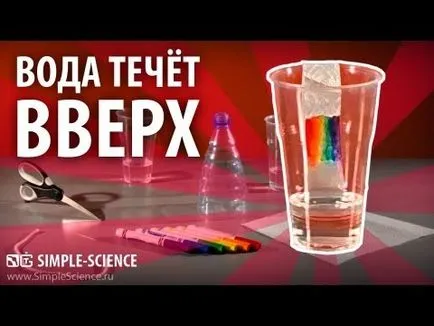 Светещи краставици - експерименти с ток при 220 волта