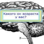 ако можем да се тества, за да отгатне какво казваш