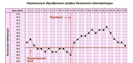 Temperatura in anus în timpul sarcinii