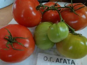 Tomate „agat“ Caracterizarea și descrierea soiului