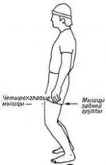 Exercitii pentru partea inferioara a spatelui, pelvis, inghinală și mușchii coapsei spatelui