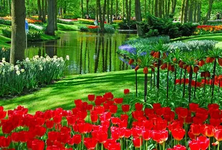 Magnificent kertek és parkok a világ, én és a táj design