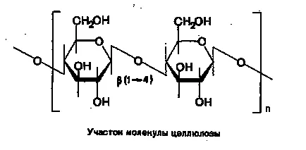 Aharidy (amidon, celuloză, glicogen) structura, funcțiile biologice distincte