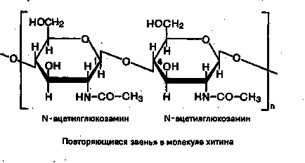 Aharidy (keményítő, cellulóz, glikogén) szerkezete, megkülönböztető biológiai funkciók
