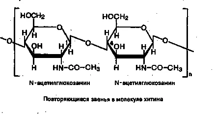 Aharidy (amidon, celuloză, glicogen) structura, funcțiile biologice distincte