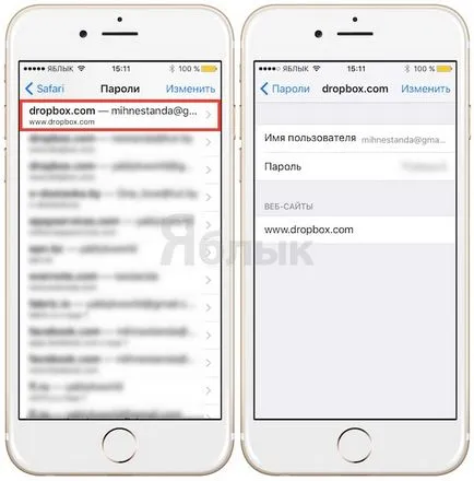 parole pentru completarea automată site-uri în Safari pe iPhone și iPad - modul de configurare și utilizare, știri