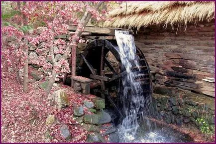 Watermill în design peisagistic