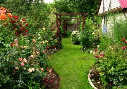 Къдравата цветна градина отлично декоративно решение