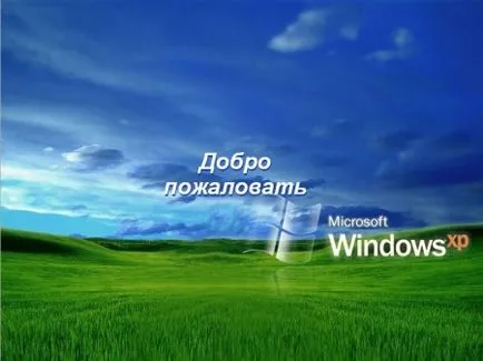 Ediția Windows XP strogos construi 99 - pagina 3 - sfw - distracție, umor, fete, accident, masina, fotografie