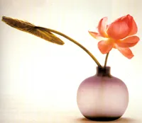 Japán - született virágkötészet (ikebana), miuki Mikado • Virtual Japán