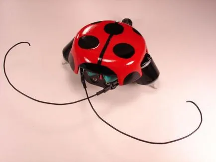 Beetle robot, házi enciklopédia