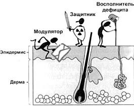 Активни добавки в козметиката