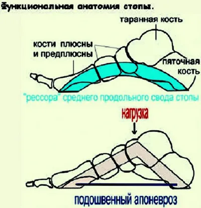 Артроза симптоми и лечение на крак интерфаланговите стави и медикаменти у дома