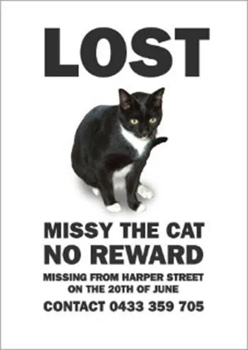 Blog Michael Klemina az eltűnt macska Missy (Missi)
