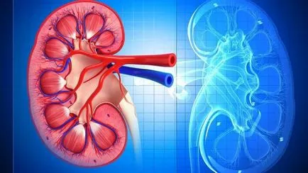 glomerulonefrita rapid progresivă și ekstrakapitalny subacută