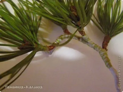 Bonsai fenyő a hideg porcelán, ország művészek